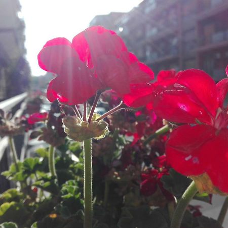 Cataniaedintorni B&B 외부 사진